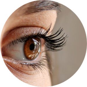 Intro to Eyelash Extension